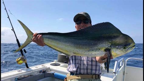 sealord fishing charters|Sealord Fishing Charters Sydney .